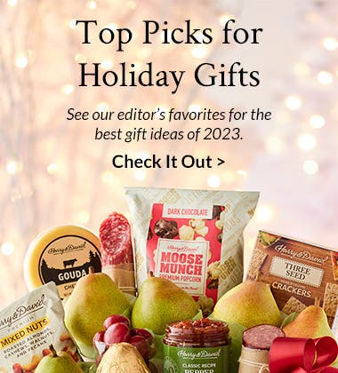 Best and New Holiday Gift Ideas: Editor's Picks